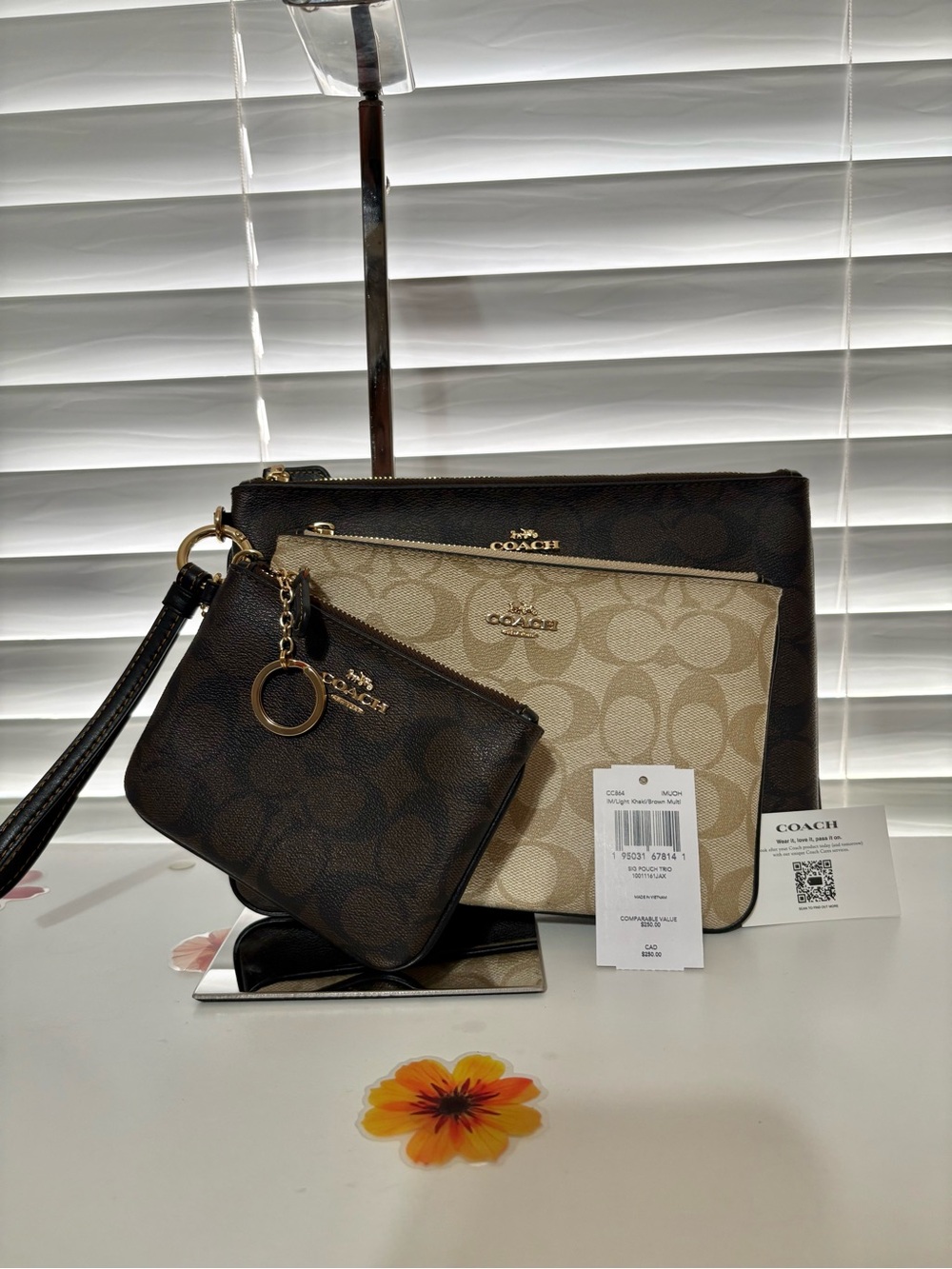 Coach Corner Zip Trio Pouch Set in Signature Canvas